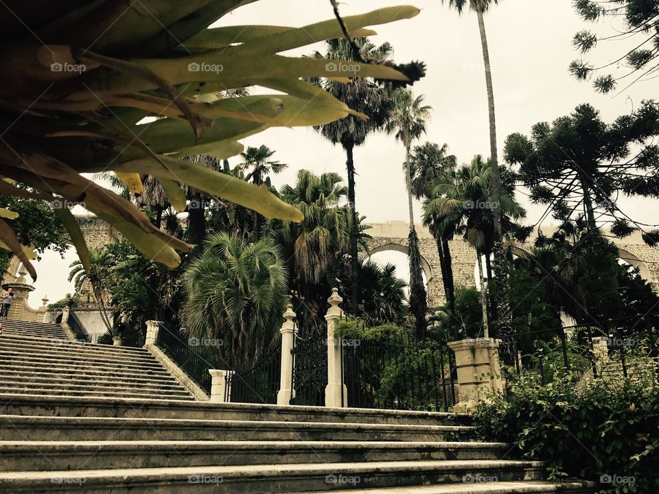 Jardim botânico de Coimbra, Portugal 