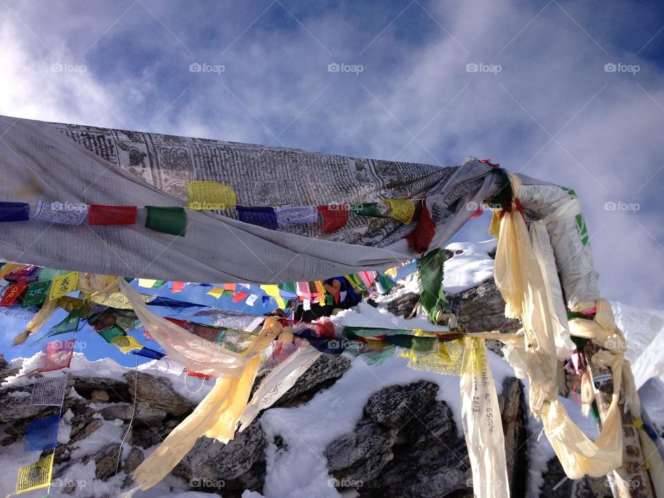 Roam about the forest