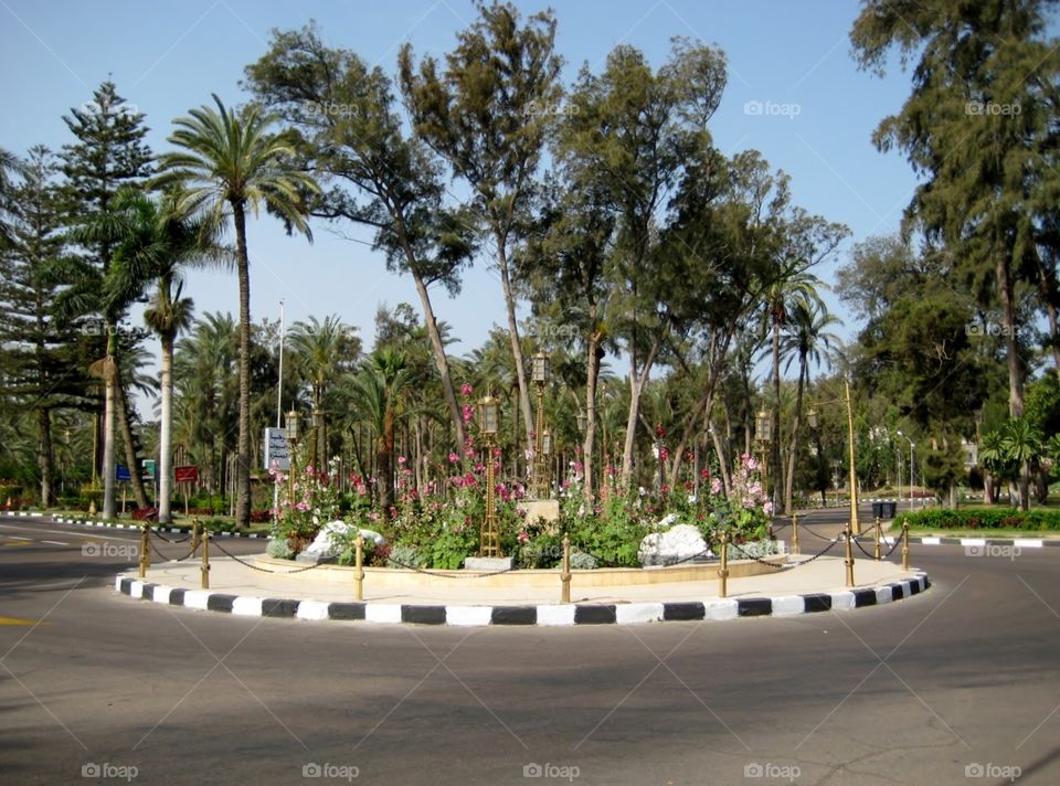 Alexandria Egypt. Circular Street Garden