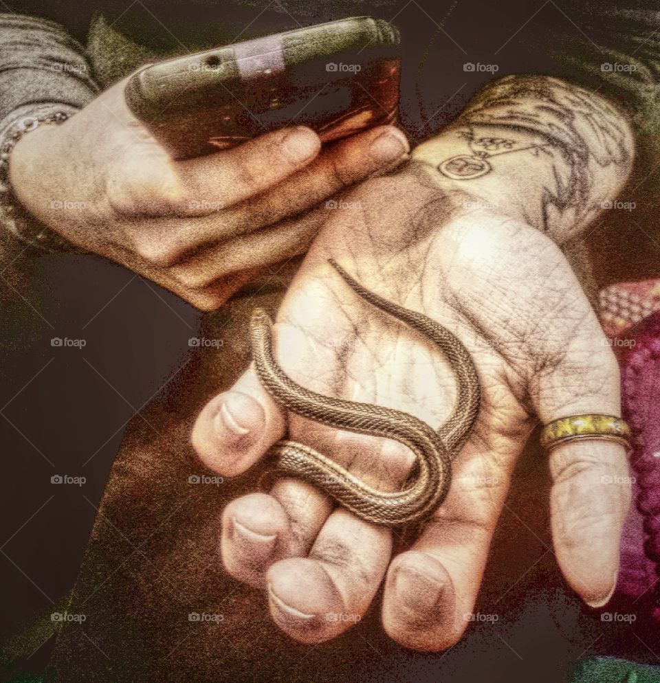 little garden snake friend