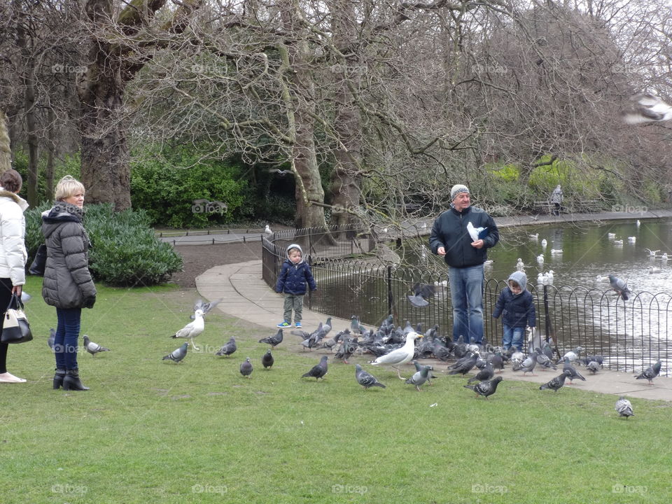 feeding birds in the park on a Sunday morning