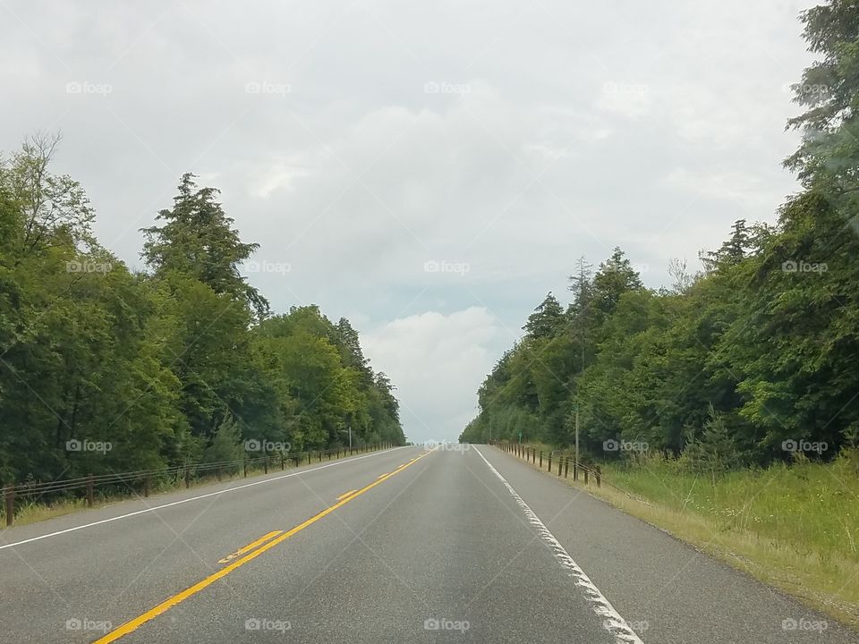 Road, Asphalt, No Person, Tree, Guidance