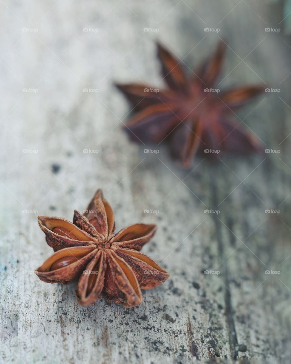 Close up of star anise