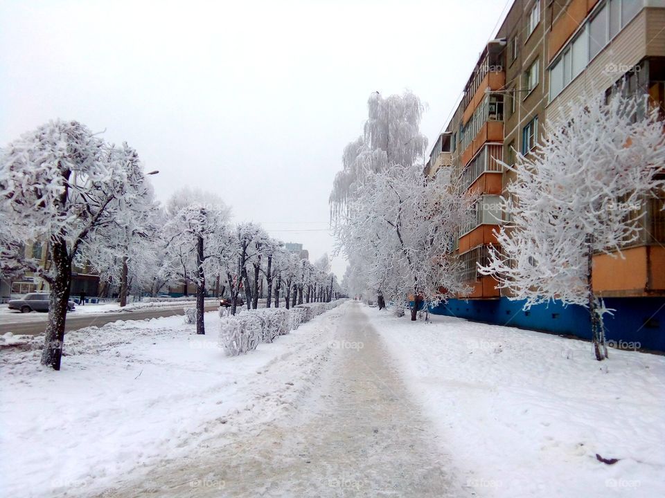 зимний город