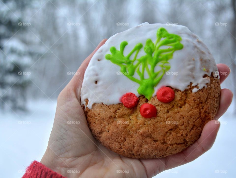 Christmas cookie in the hand tasty food