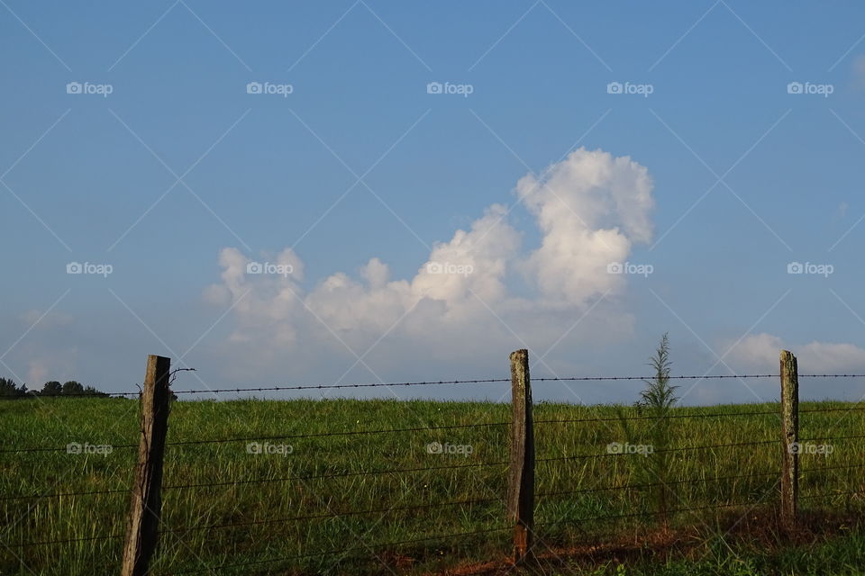 Pasture, fence and cloud