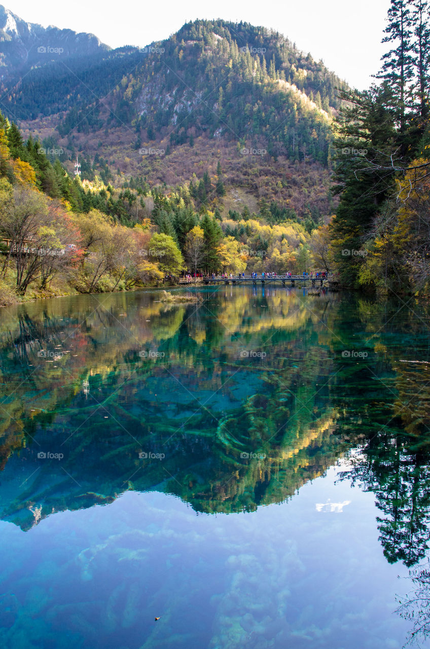 Jiuzhaigou nature reserve, Sichuan, china