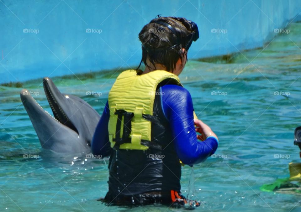 Swimming With Dolphins