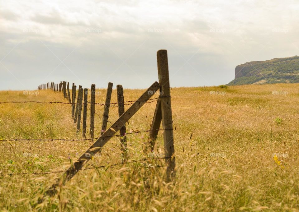 Summertime in the middle of nowhere