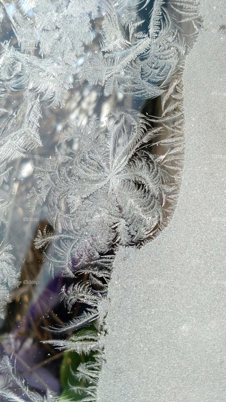 Frosty Flower