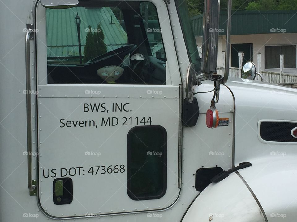 Stewie is an angry passenger in this big rig's cab. 