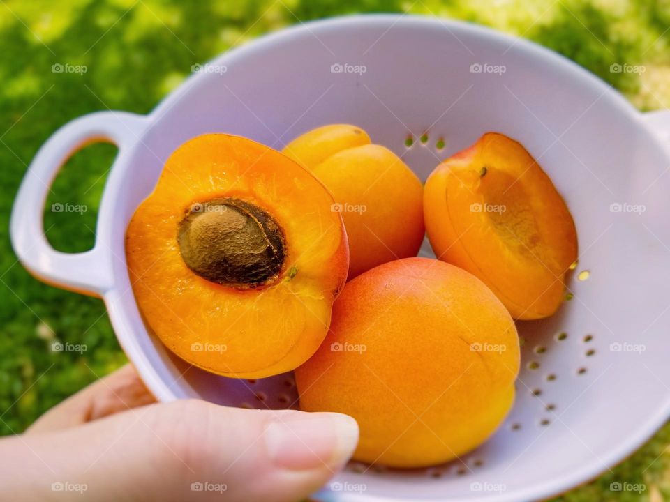 Apricots as a Summer Treat