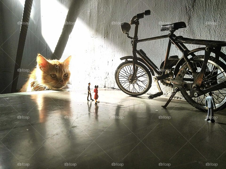 Giant cat that preys on humans