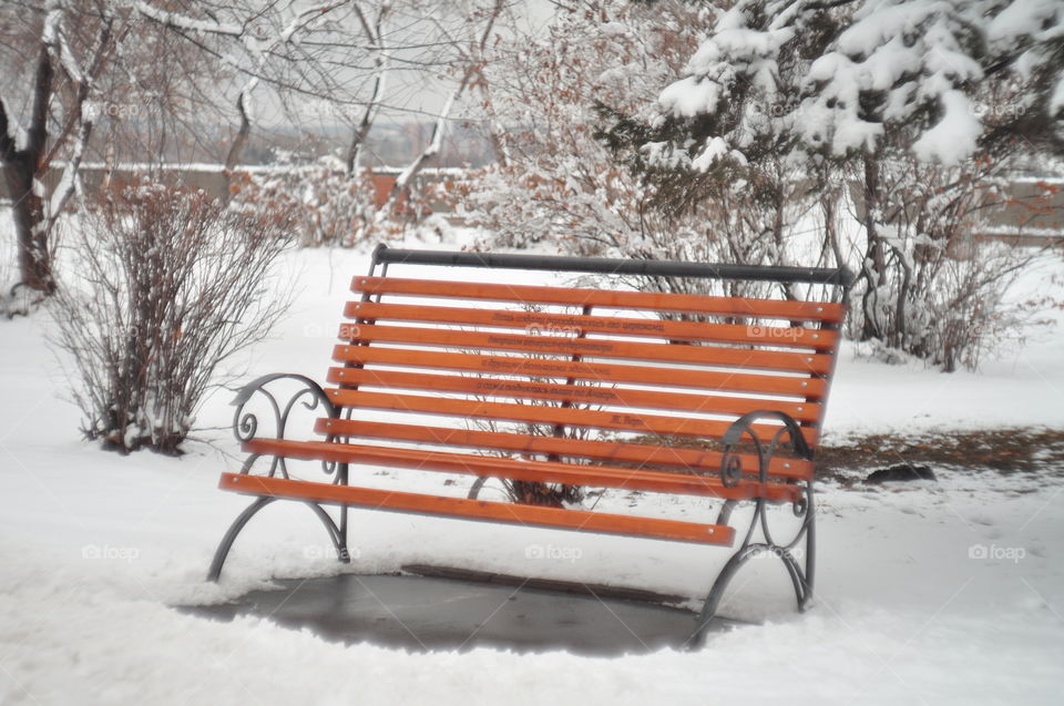 Snow, bench