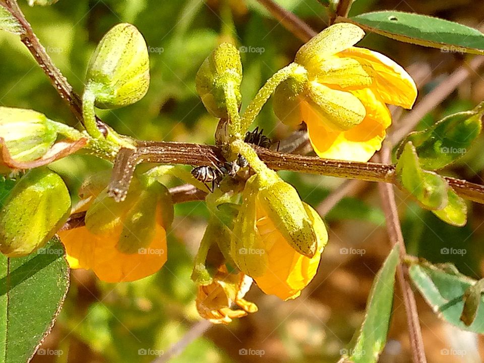 I'm holding on tight to you