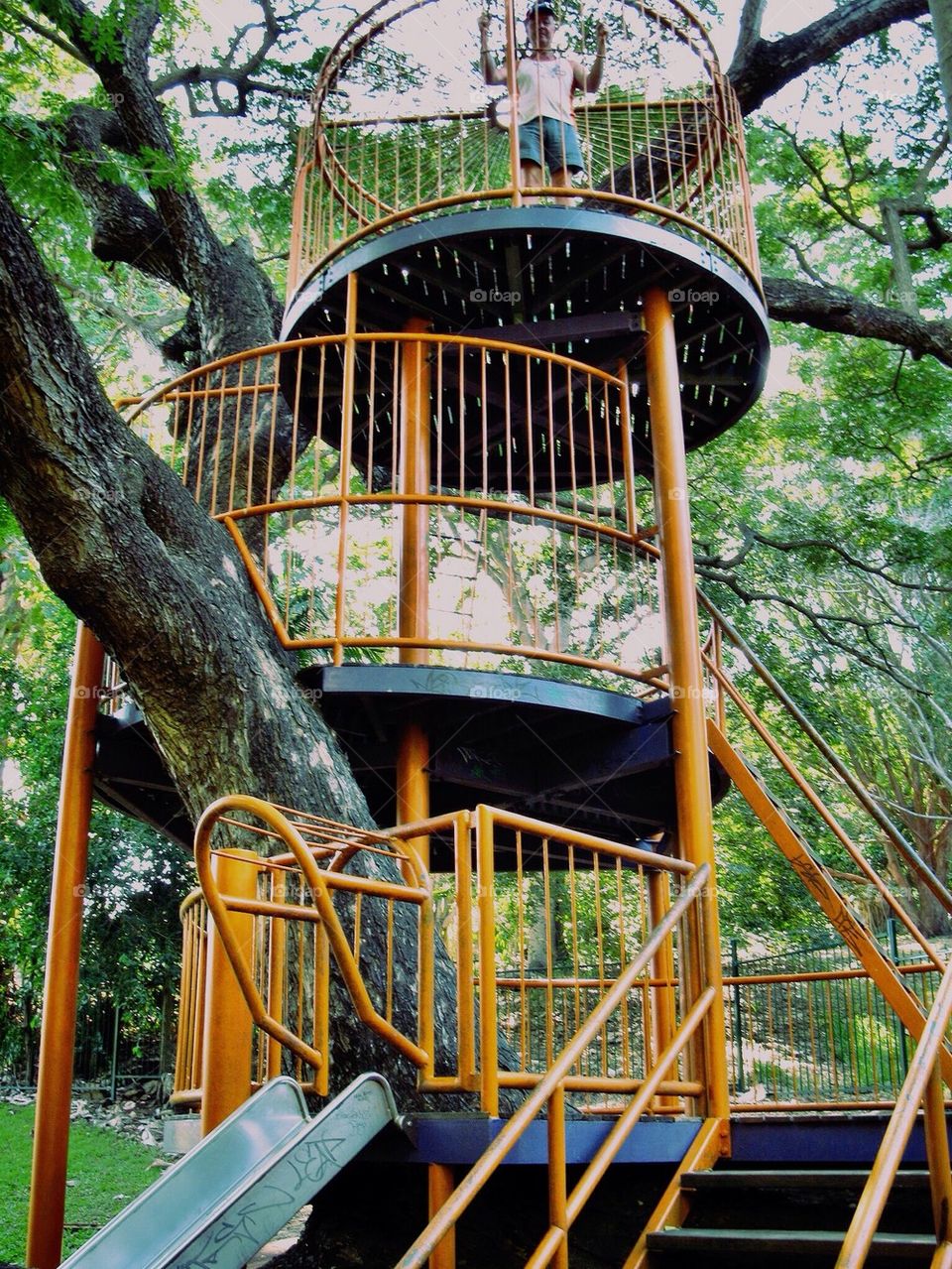 Best Ever Tree Climbing Frame Forte