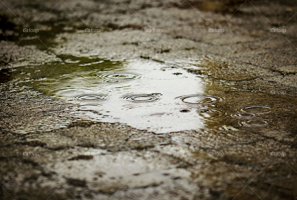 Puddle on the sidewalk on a rainy day
