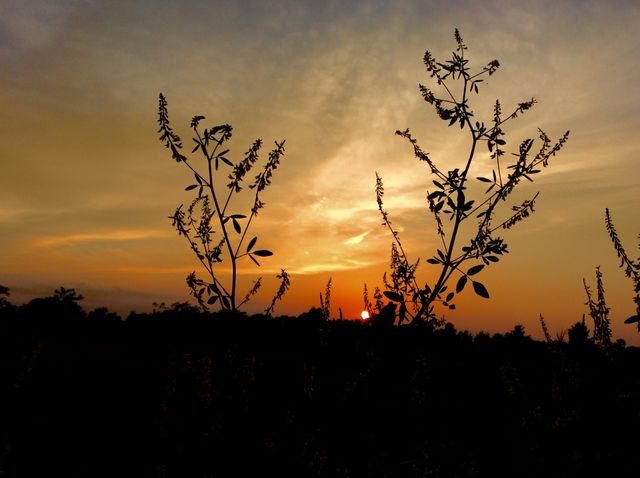 Beautiful sunset