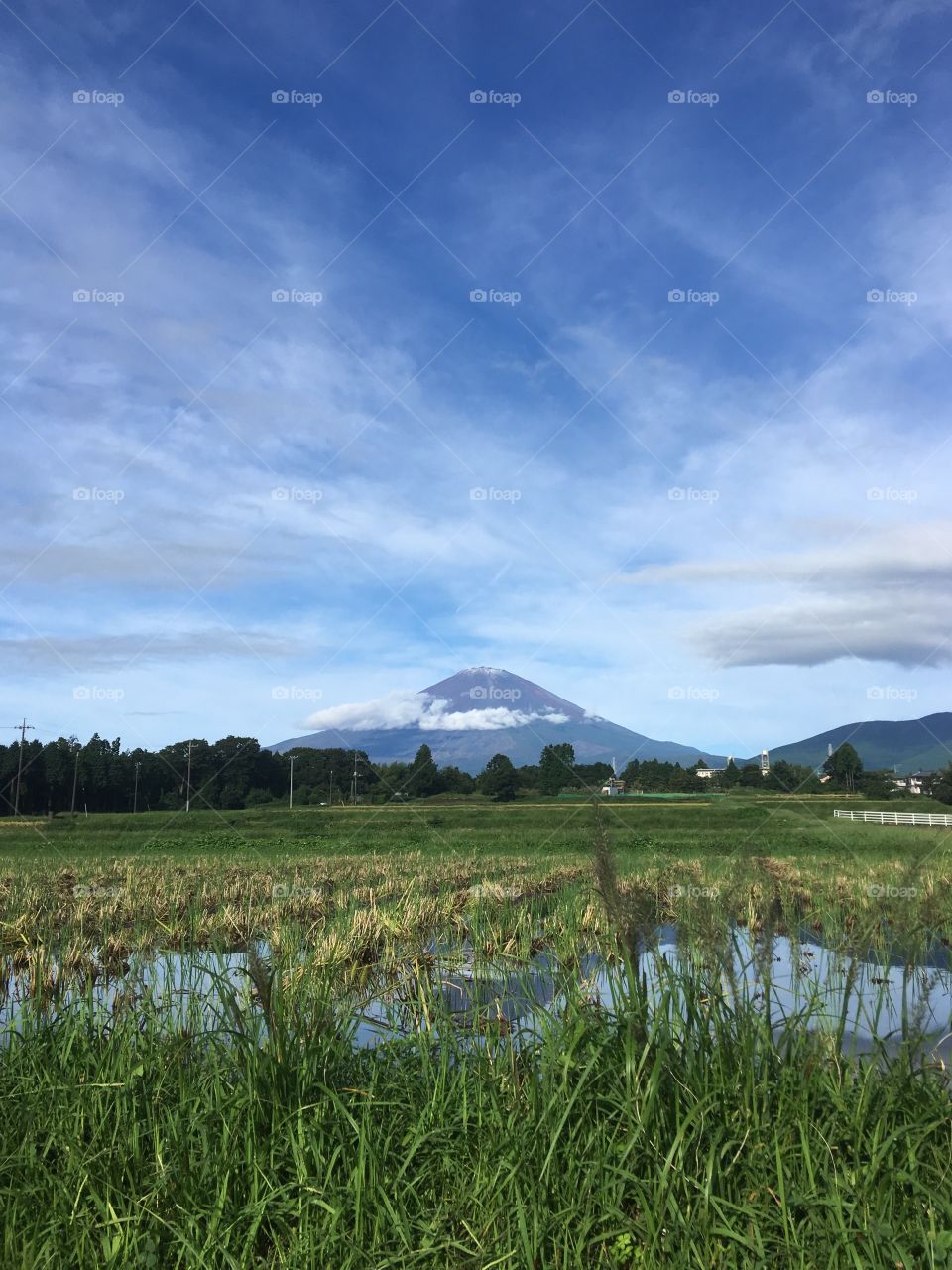 Mt fuji