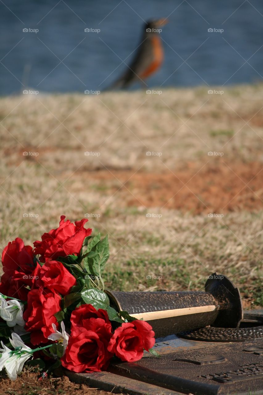 Cemetery Flowers