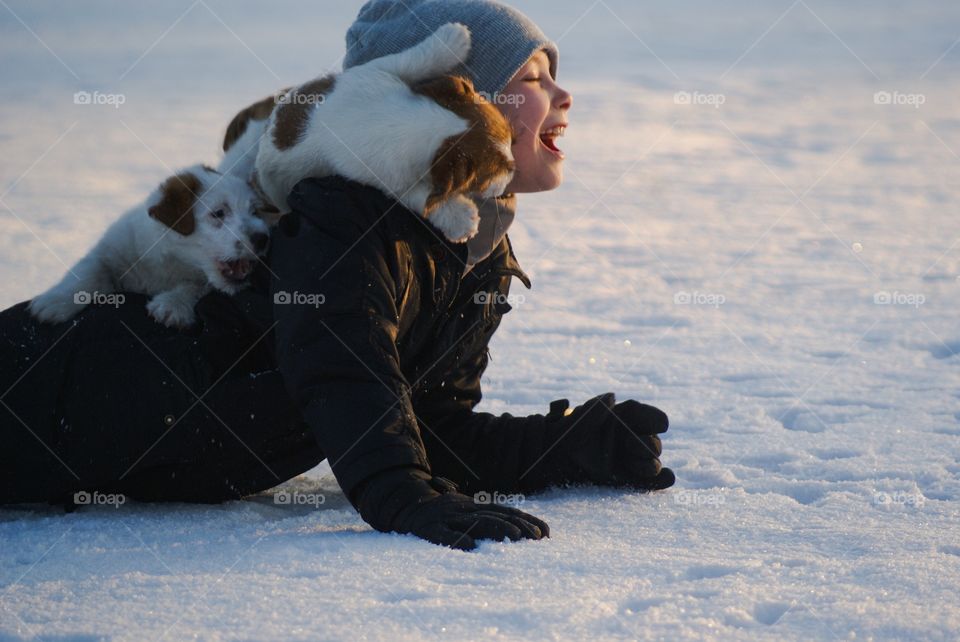 Puppies playing. These puppies teases with the girl. She laughs and enjoy every moment