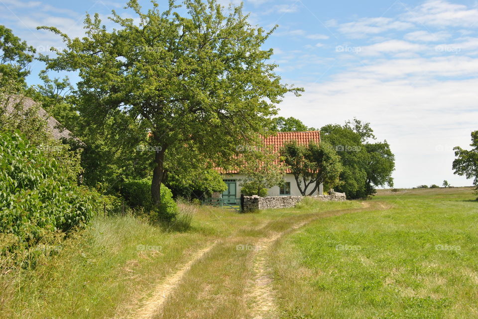 View of empty road