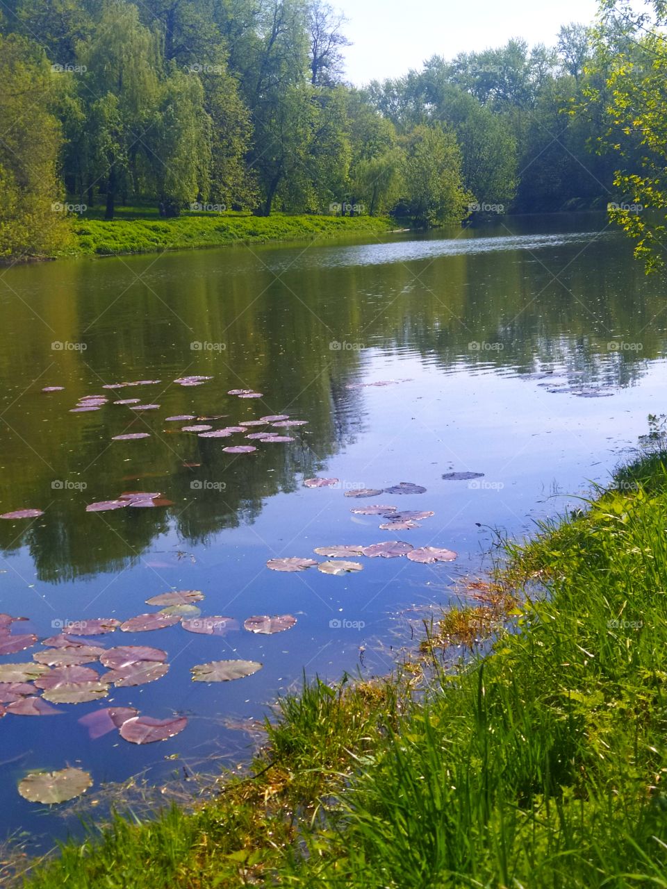 Spring morning.  River in the Moscow park