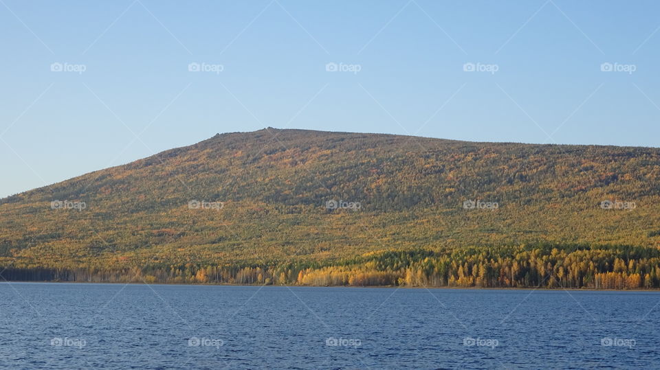 golden autumn in the Urals in Russia
