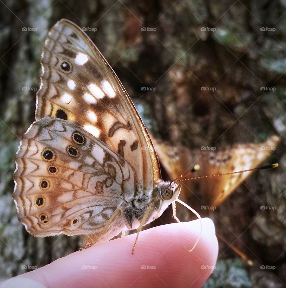 Living in Harmony with Nature