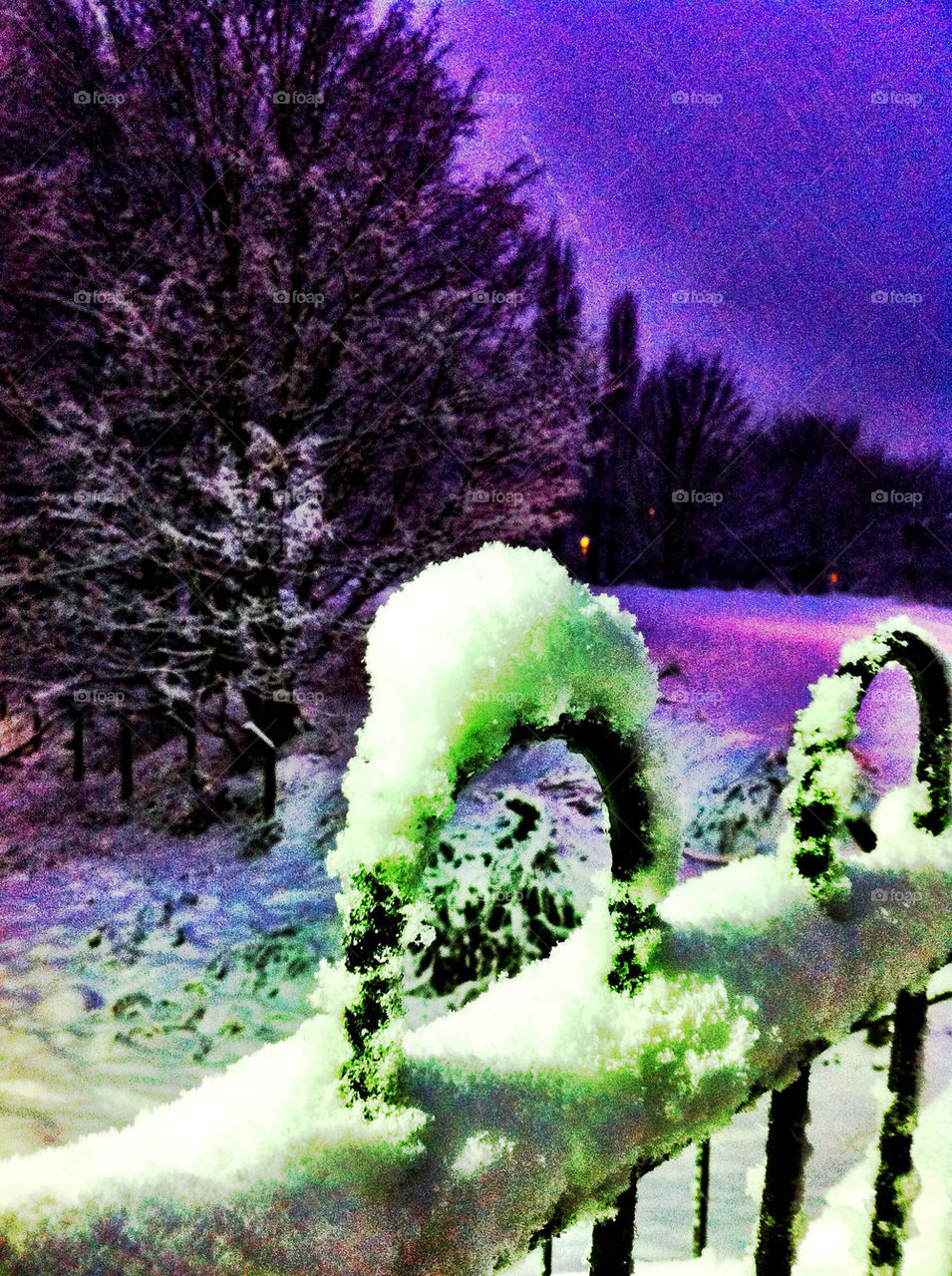 snow winter christmas dawn by emmam