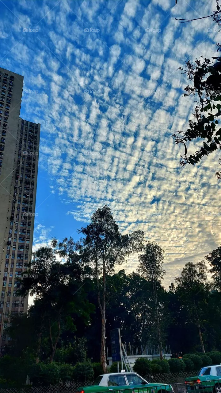 Sky