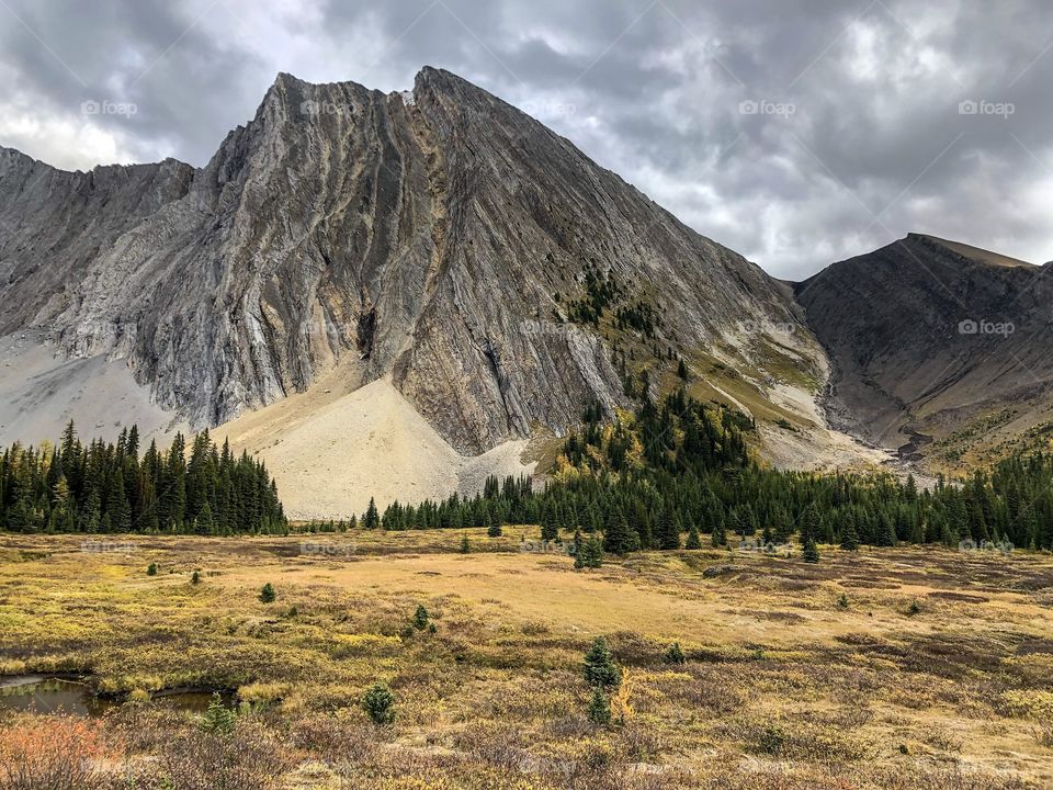 Peter Lougheed Provincial Park
