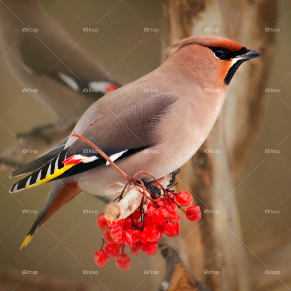 Северные пейзажи