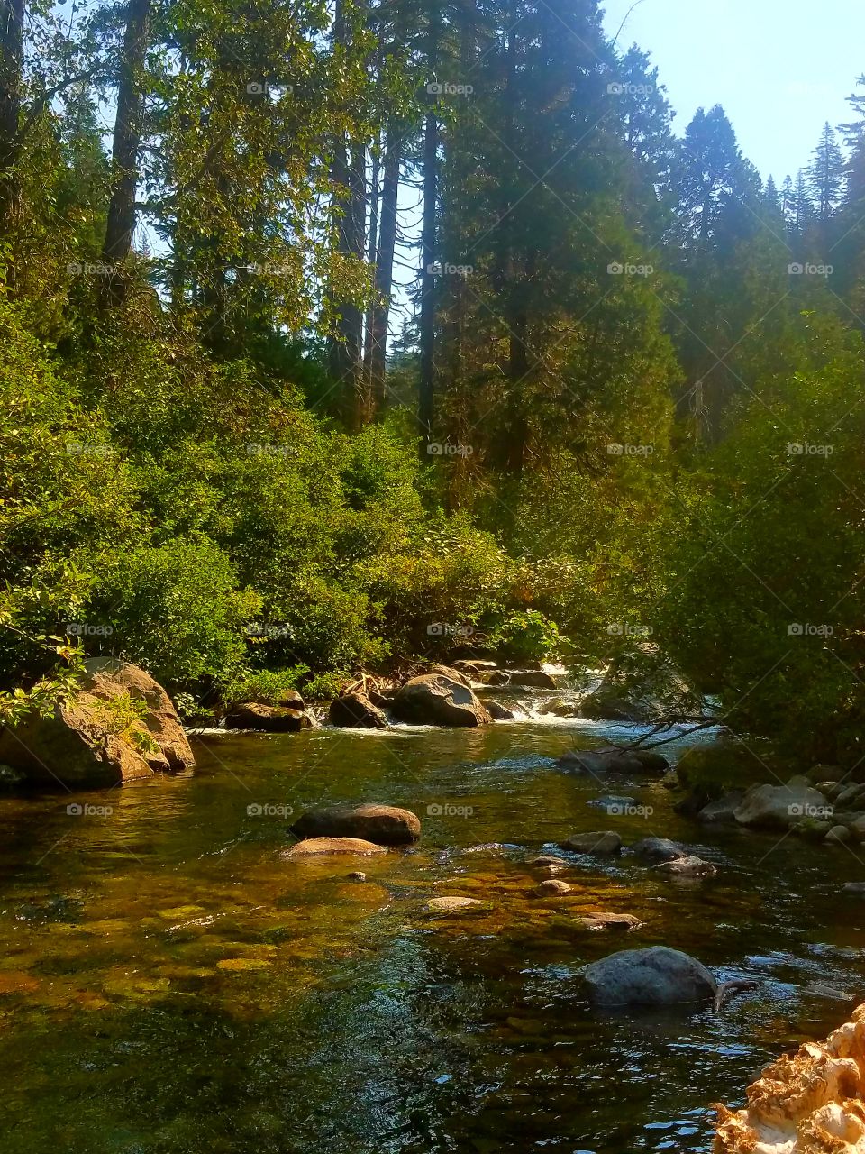 West branch of the feather river