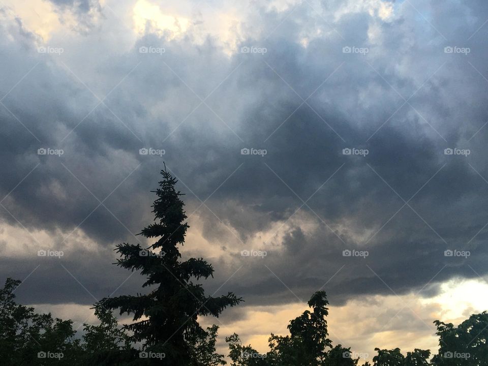 Dark black and white storm clouds in the sky over treetops