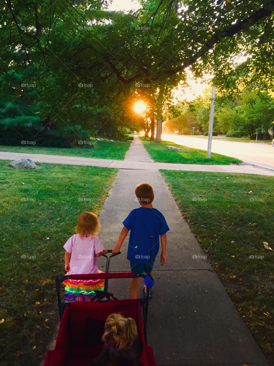 Enjoying an after dinner walk through the neighborhood with the kids as they exercise teamwork while pulling our tired dog in a red wagon down a long sidewalk leading us straight into a beautiful summer sunset guiding us back home before bedtime 