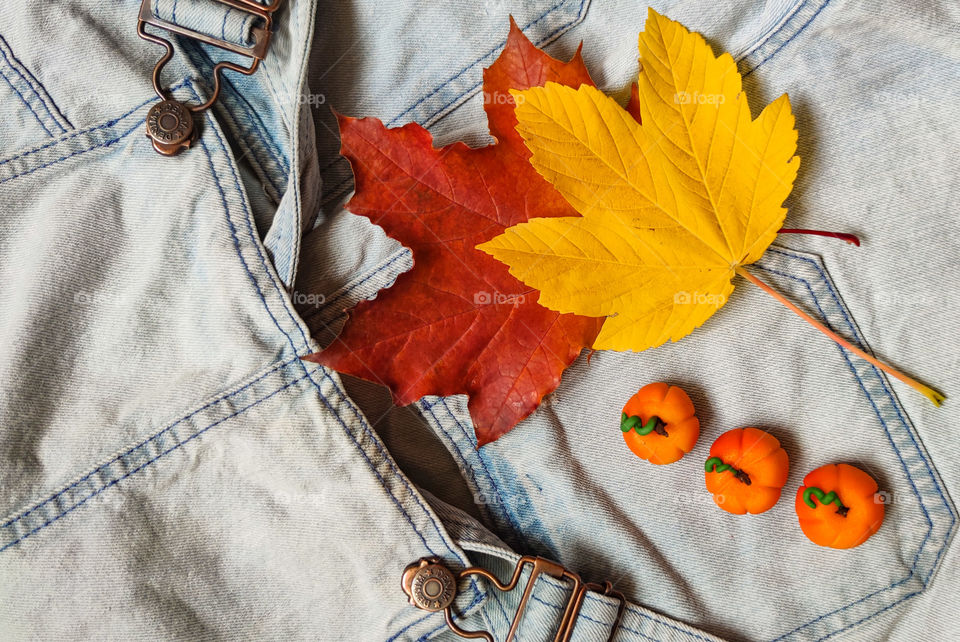 Denim and nature contrast