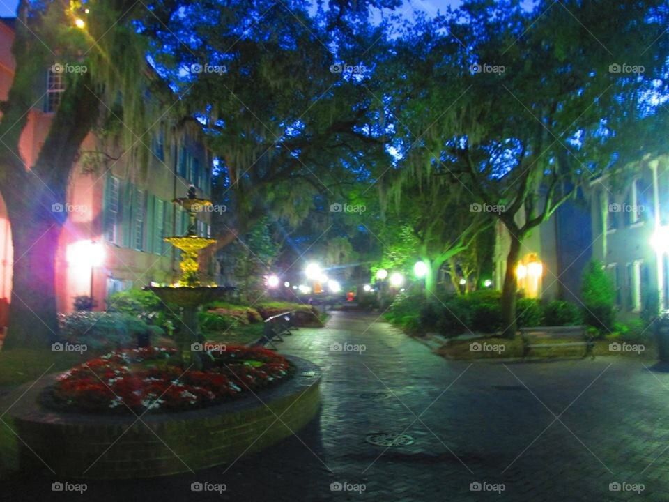 College of Charleston nighttime