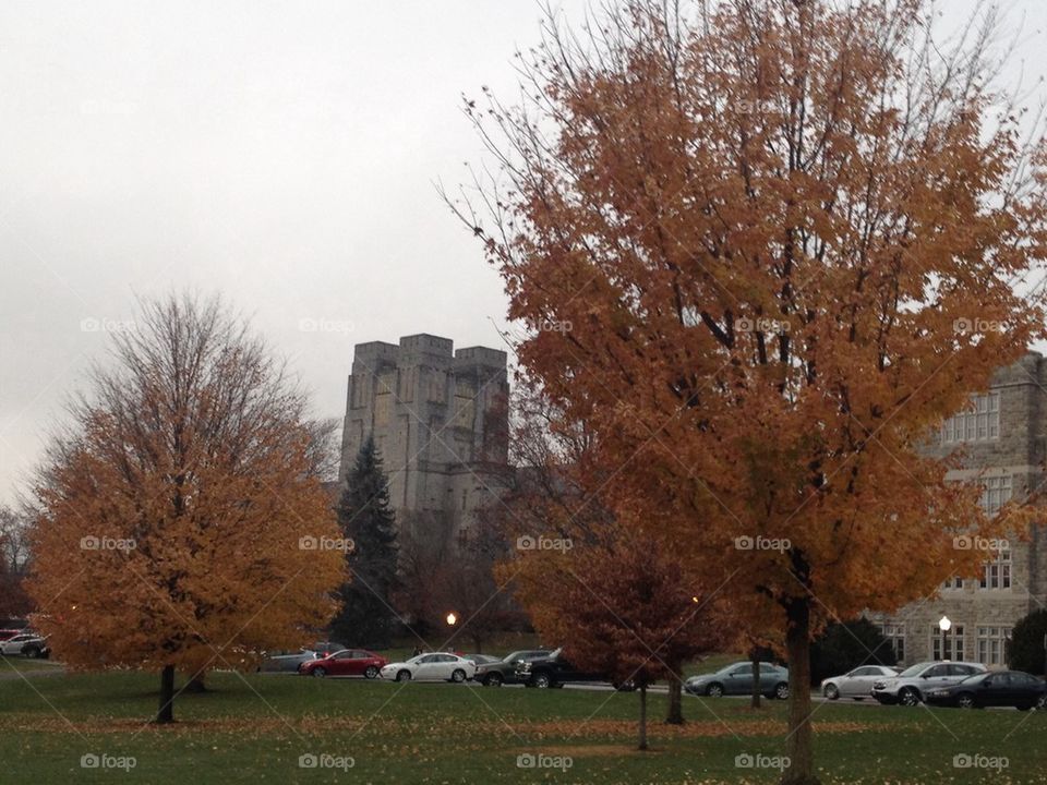 Fall at Virginia Tech