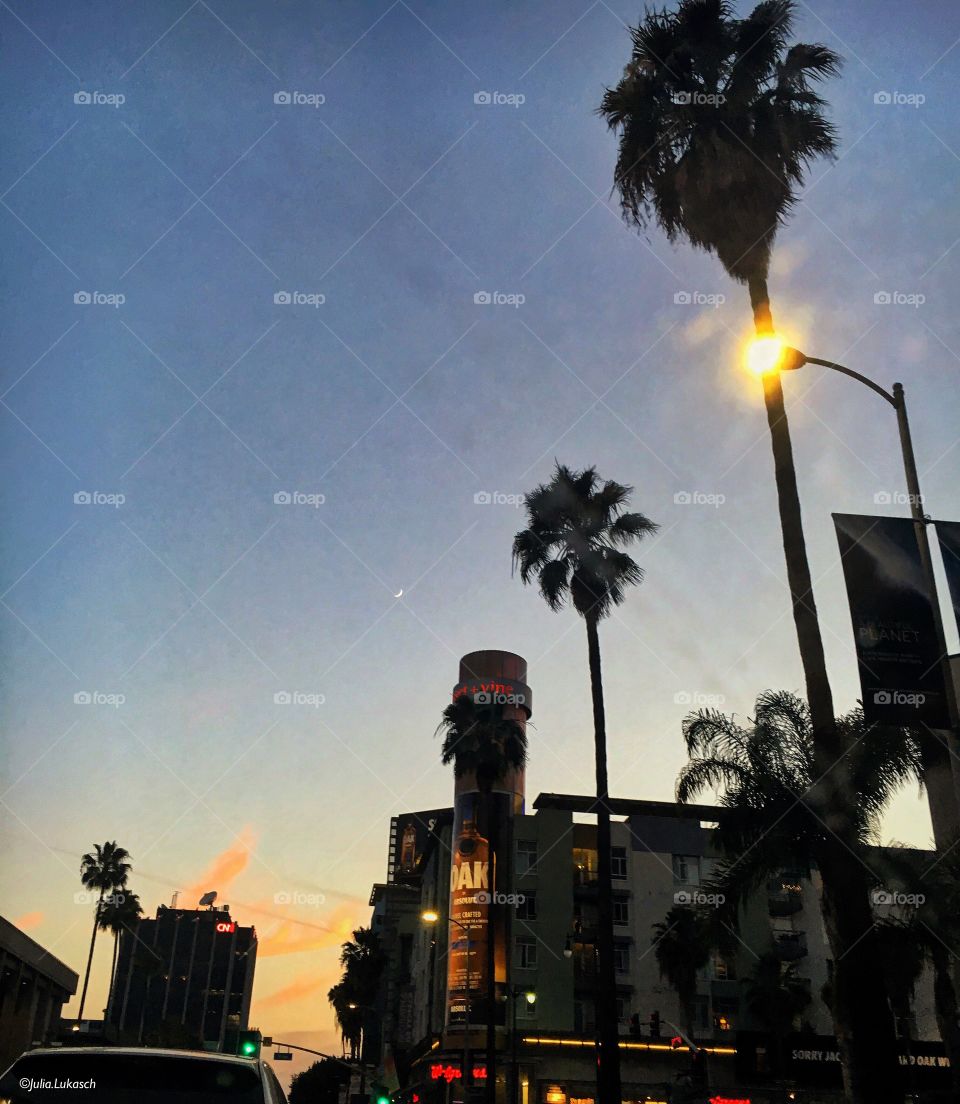 Sunset Blvd