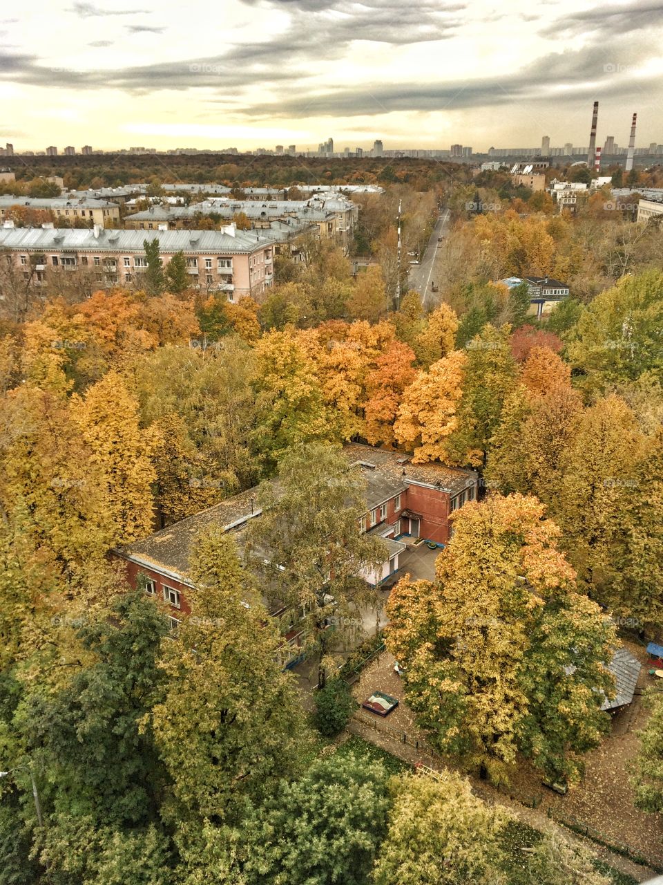 Autumn city 