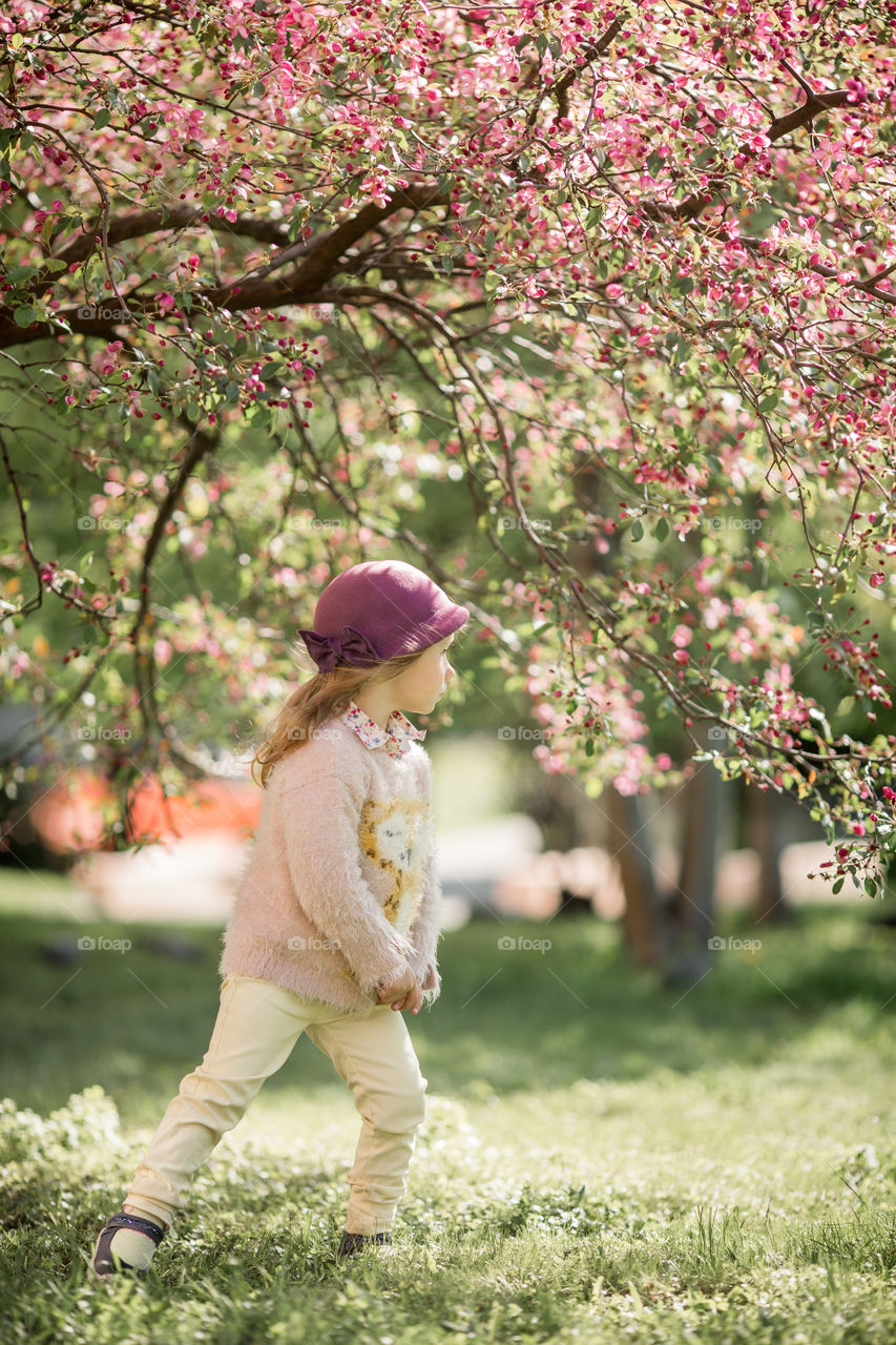 Cute Little girl in a blossom park