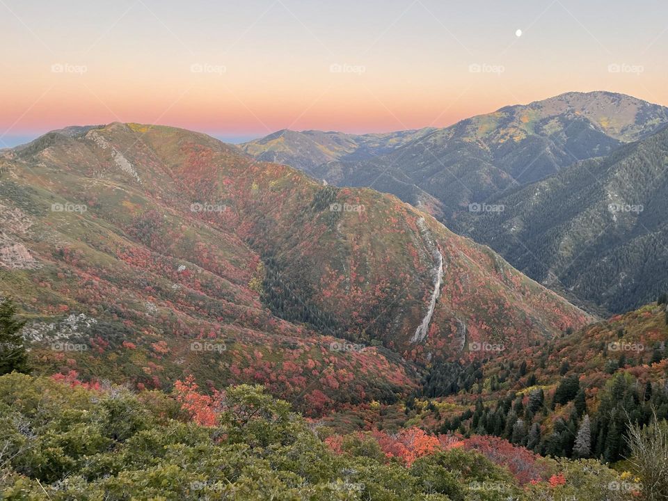 The most beautiful fall colors in the mountains during a sunset/moonrise in Utah 