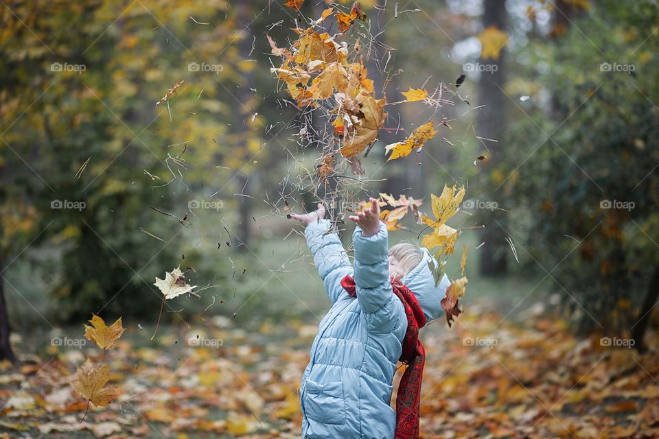 Leaf fall