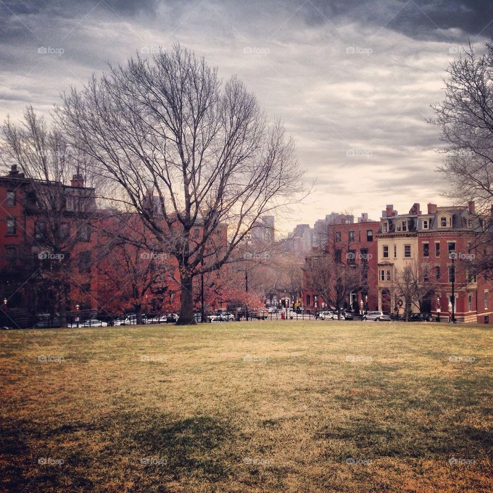 Boston commons 