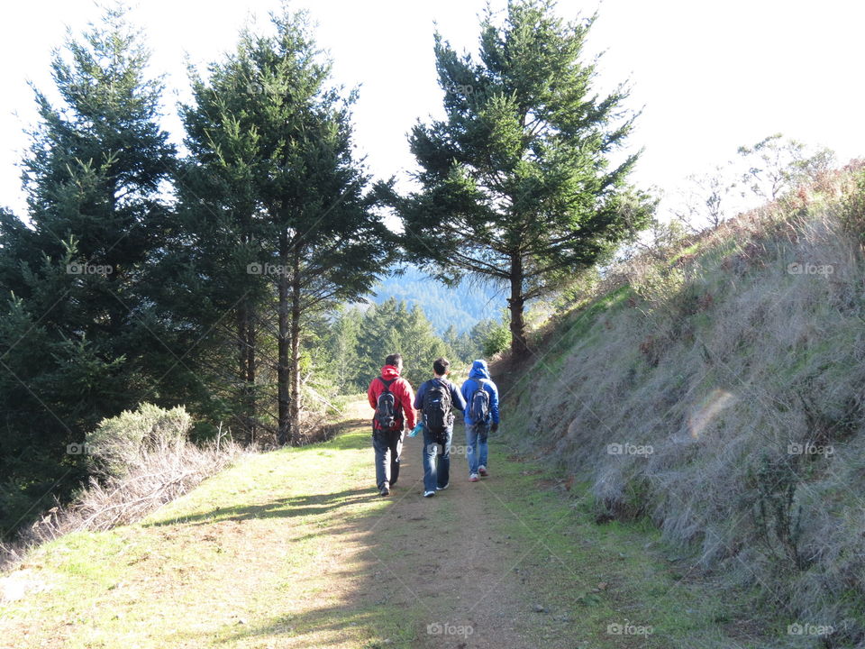 The Path to Friendship 