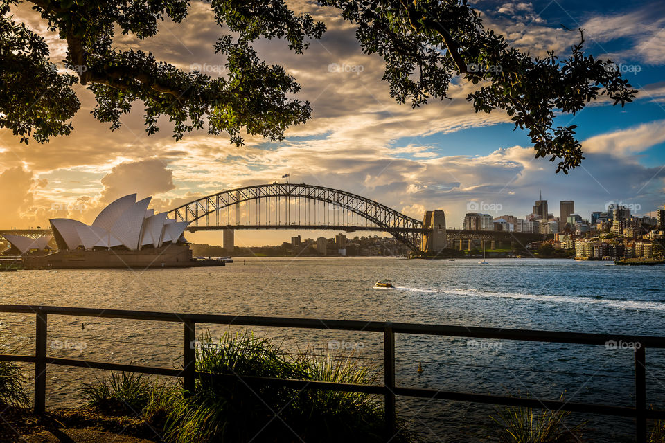 View of the iconic Sydney Opera House and Harbour Bridge from Mrs Macquarie's Chair, Sydney, Australia.