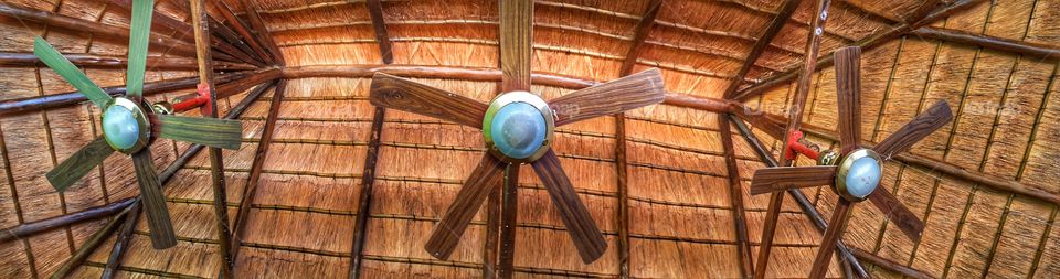 fans hanging from the roof