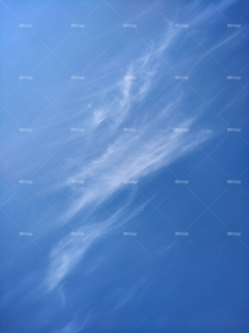 Cloud on blue canvas