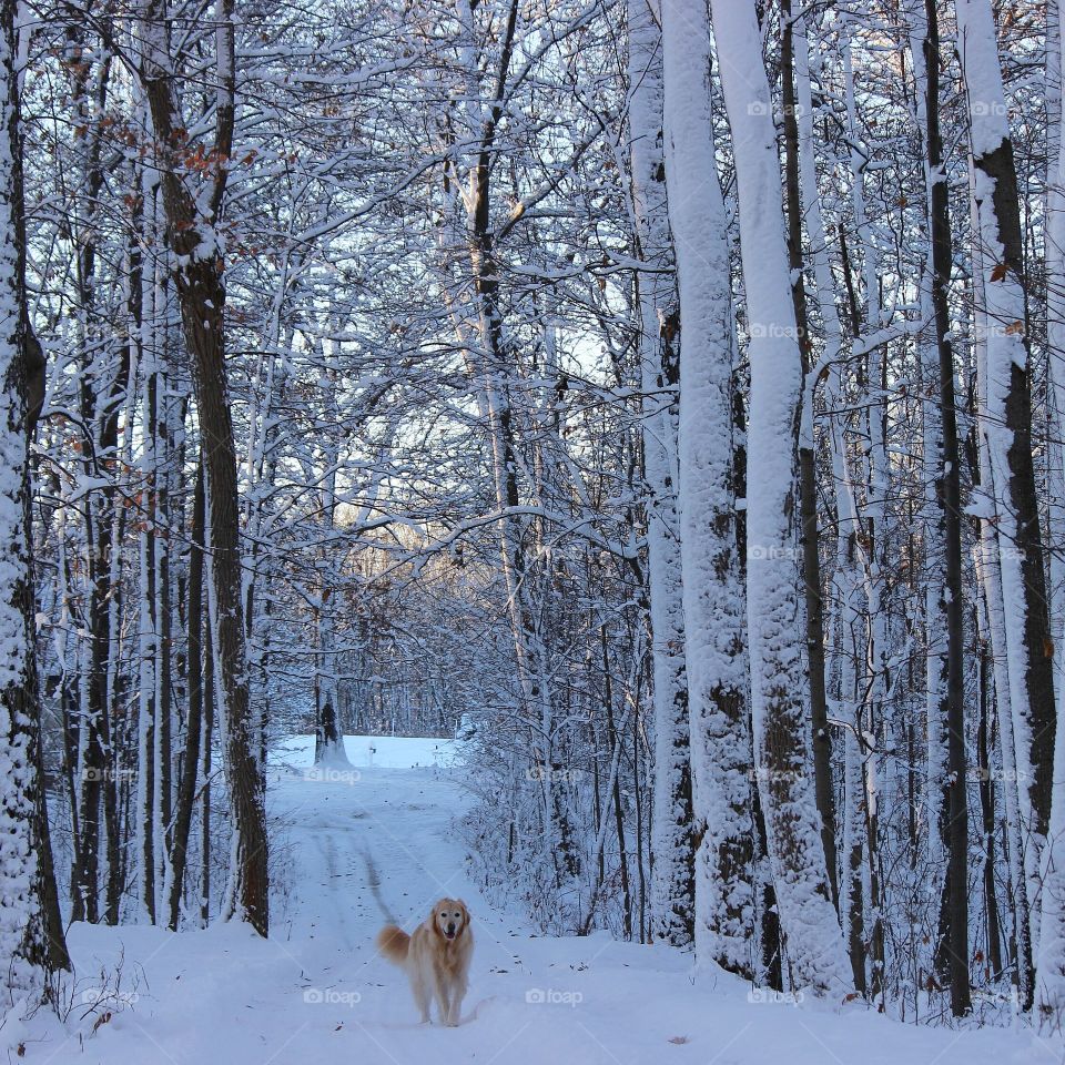 Walking down the driveway to get the paper